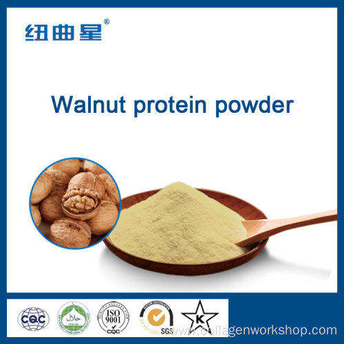 High quality walnut protein powder